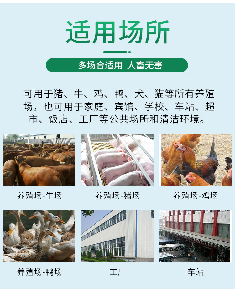 殺蟲(chóng)餌粒(絕影)3